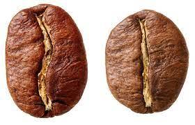 Understanding the Beans: Exploring the Difference Between Arabica and Robusta Coffee