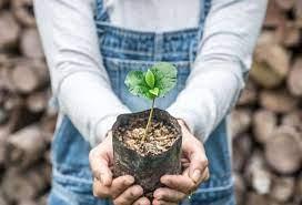 Source: Conserve Energy Future