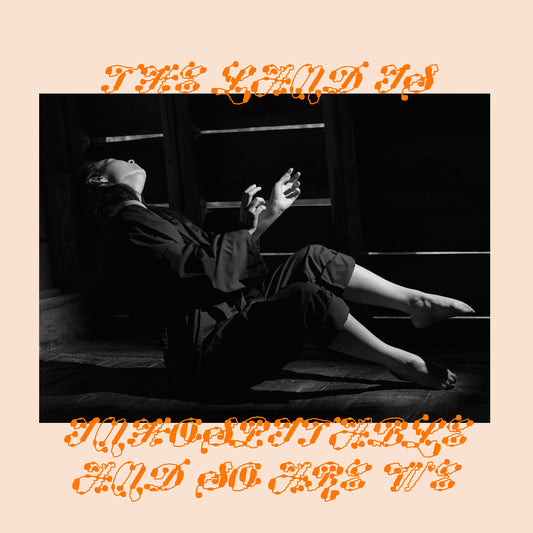 Mitski - The Land Is Inhospitable and So Are We (Vinyl LP, Black)