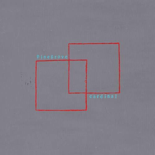Pinegrove - Cardinal (Vinyl LP)