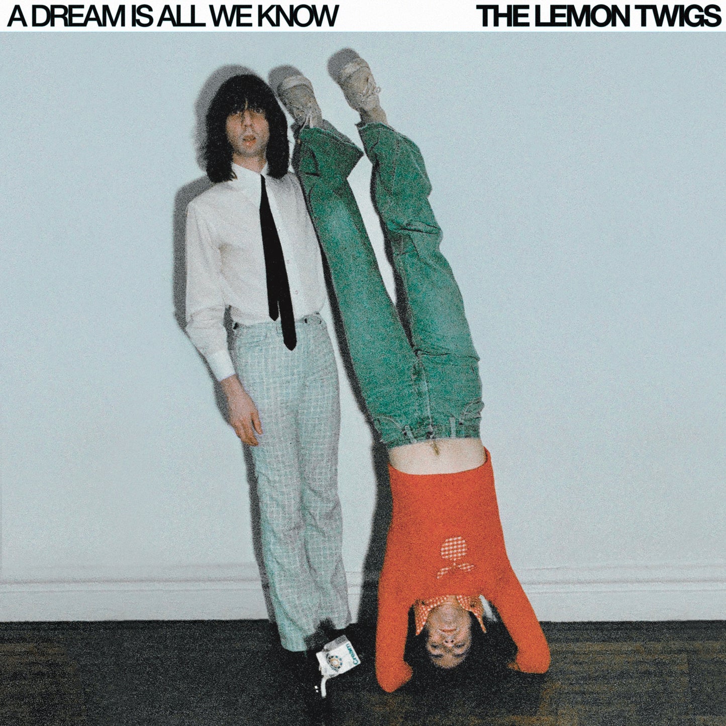 The Lemon Twigs - A Dream Is All We Know [Limited Edition Ice Cream Vinyl]